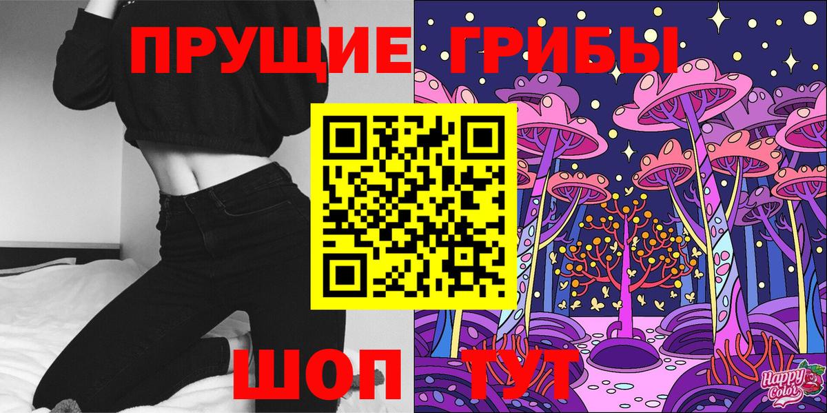 Псилоцибиновые грибы Psilocybine cubensis Тутаев